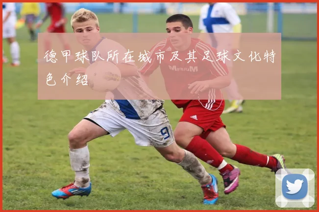 德甲球队所在城市及其足球文化特色介绍